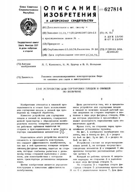 Устройство для сортировки плодов и овощей по величине (патент 627814)