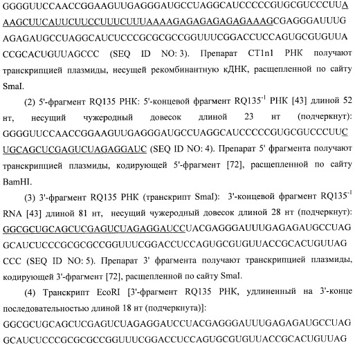 Контролируемая деградация структурированных полирибонуклеотидов (патент 2458986)