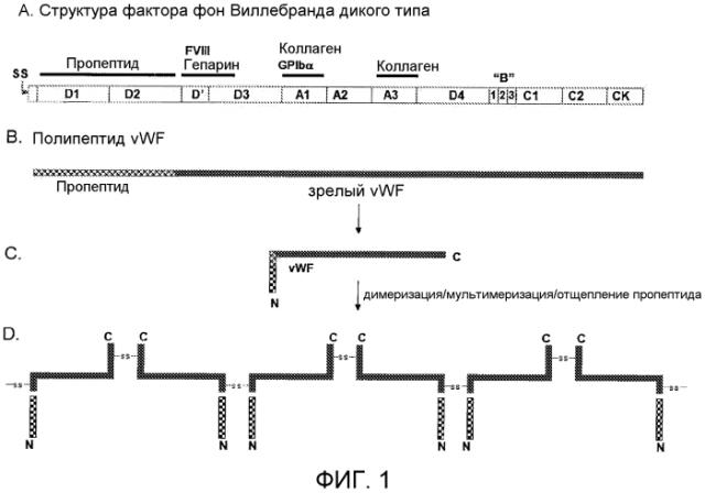 Содержащие фактор фон виллебранда (vwf) препараты и способы, наборы и применения, связанные с ними (патент 2579977)