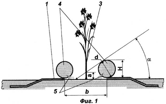 Защитное покрытие для растений (патент 2267913)