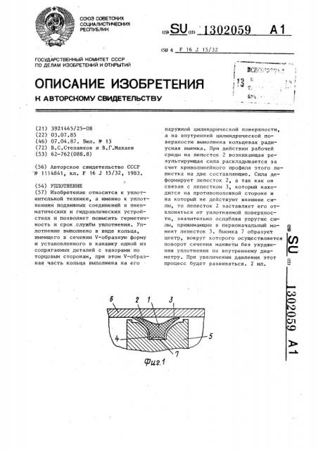 Уплотнение (патент 1302059)