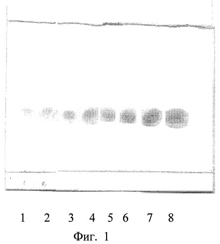 Способ количественного определения рутина методом тонкослойной хроматографии (патент 2469316)