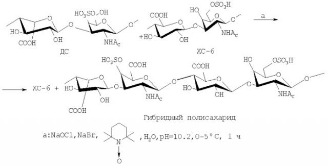 Способ получения хондроитин-6-сульфата из пупочных канатиков новорожденных (патент 2383351)