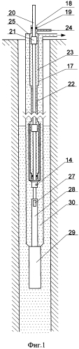 Скважинная штанговая насосная установка (варианты) (патент 2550842)