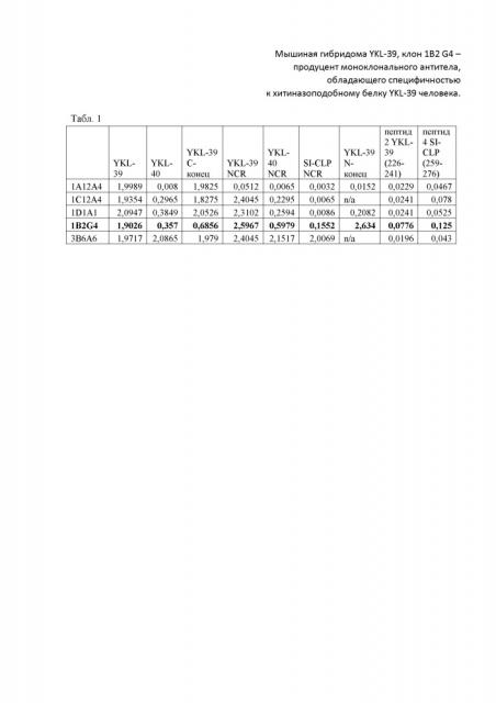 Мышиная гибридома ykl-39, клон 1b2 g4 - продуцент моноклонального антитела, обладающего специфичностью к цитоплазматическому антигену ykl-39 человека (патент 2667423)
