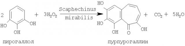 Способ получения пурпурогаллина (патент 2396244)