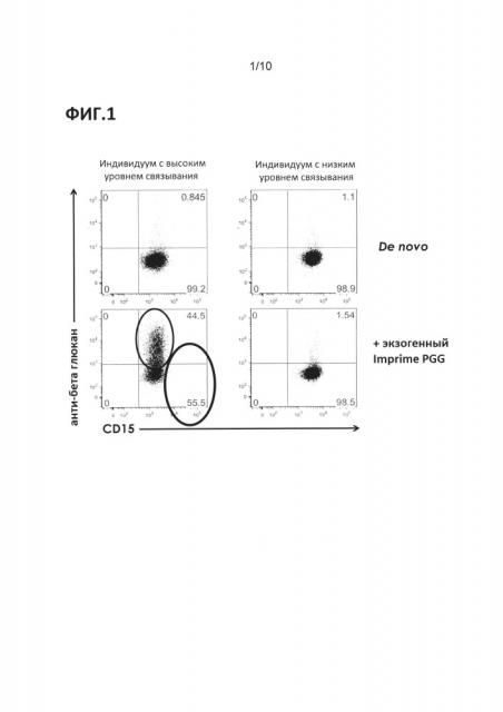 Композиции и способы для β-глюкановой иммунотерапии (патент 2629334)