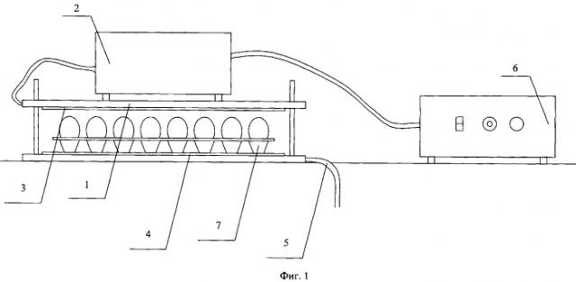Установка для комплексной обработки куриных яиц электрическим полем (патент 2348150)