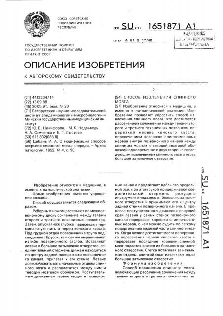 Способ извлечения спинного мозга (патент 1651871)