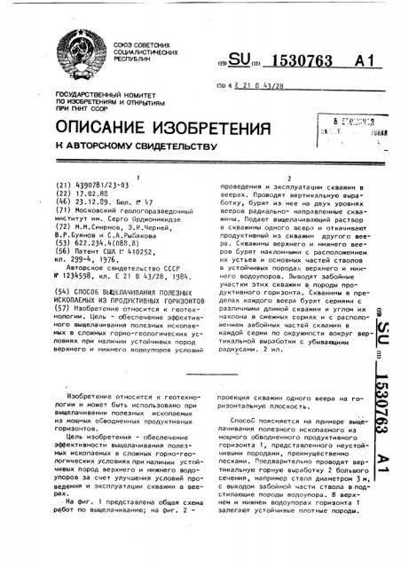 Способ выщелачивания полезных ископаемых из продуктивных горизонтов (патент 1530763)