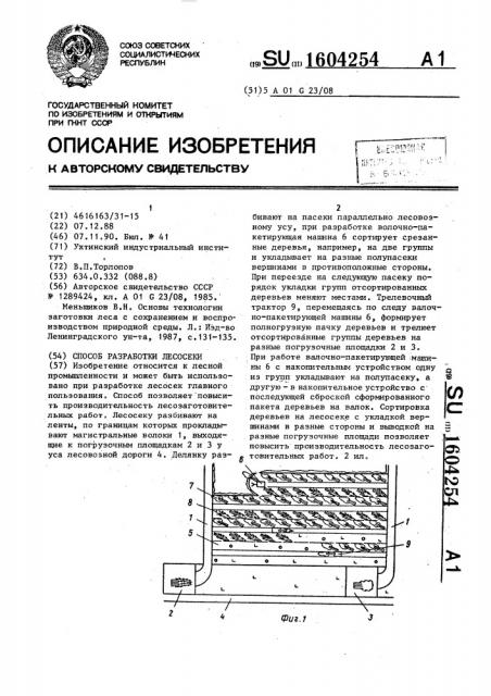 Способ разработки лесосеки (патент 1604254)