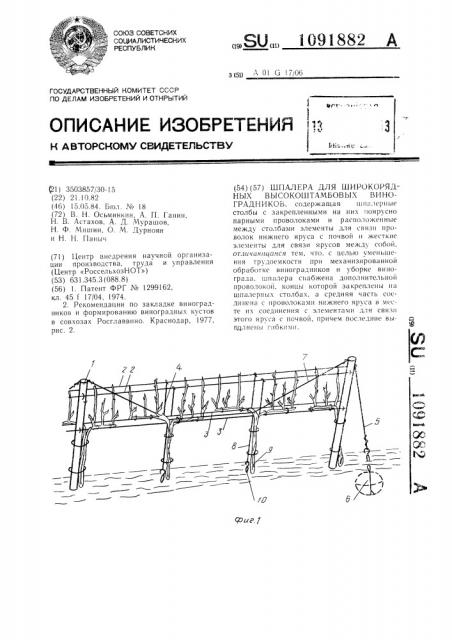 Шпалера для широкорядных высокоштамбовых виноградников (патент 1091882)