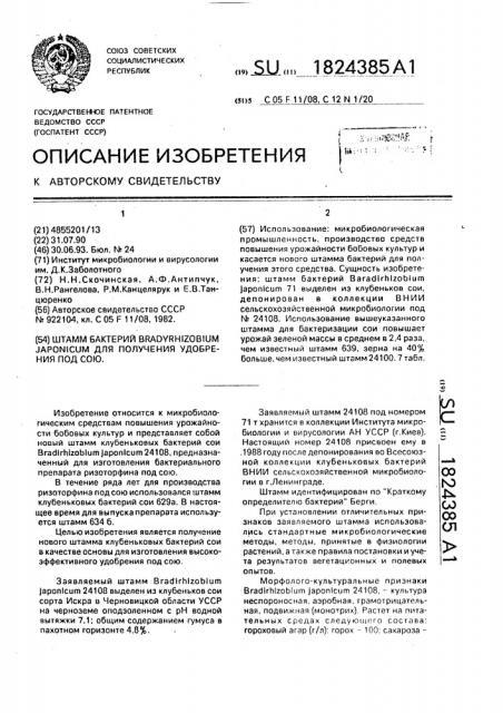 Штамм бактерий вrаdyrнizовiuм jароniсuм для получения удобрения под сою (патент 1824385)