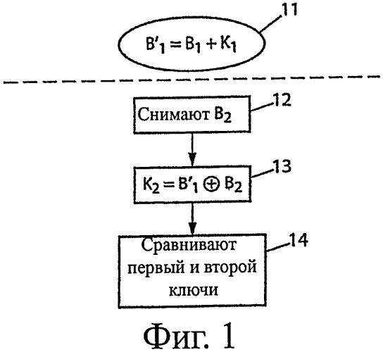 Обработка биометрических данных в многомерной системе координат (патент 2439697)