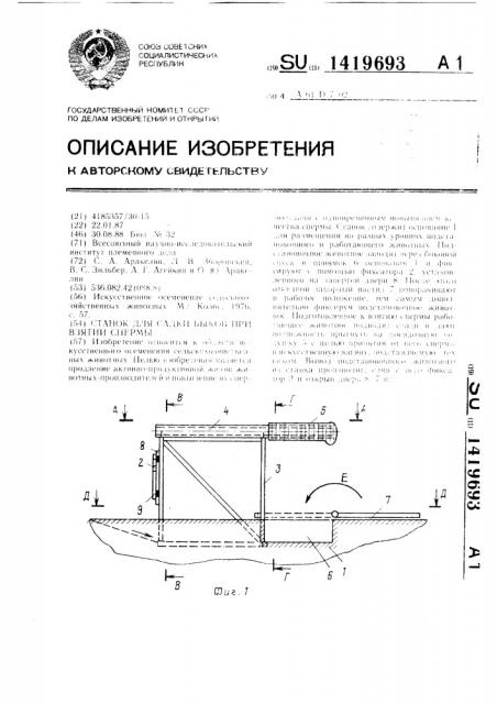 Станок для садки быков при взятии спермы (патент 1419693)