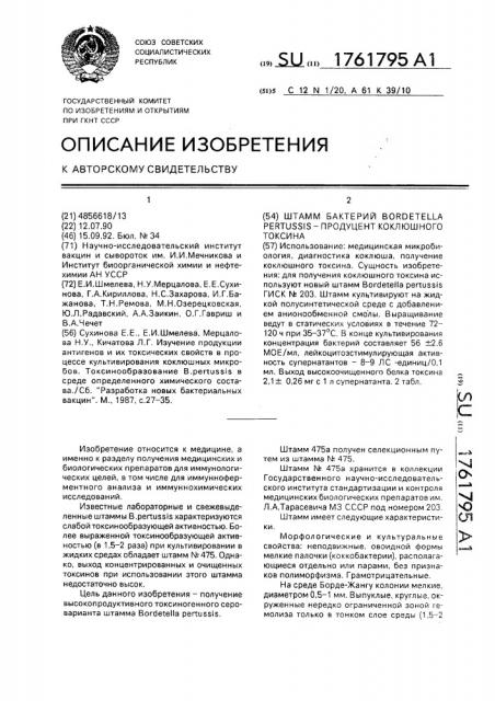 Штамм бактерий воrdетеllа реrтussis - продуцент коклюшного токсина (патент 1761795)
