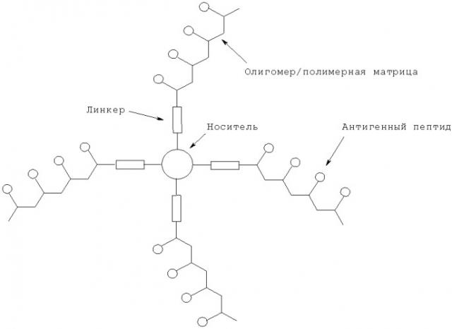 Антигенные tau-пептиды и их применения (патент 2518291)