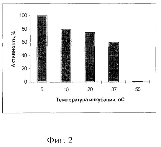 Штамм бактерий sphingobacterium mizutae-32 - продуцент эндонуклеазы рестрикции spmi, узнающей и расщепляющей последовательность нуклеотидов 5'-ат'cgat-3' (патент 2266323)