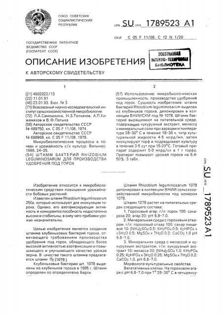 Штамм бактерий rнizовiuм lеguмinоsаruм для производства удобрения под горох (патент 1789523)