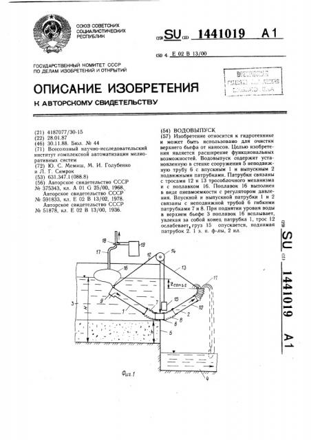 Водовыпуск (патент 1441019)