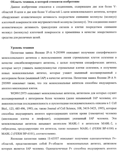 Агонистическое соединение, способное специфически узнавать и поперечно сшивать молекулу клеточной поверхности или внутриклеточную молекулу (патент 2430927)