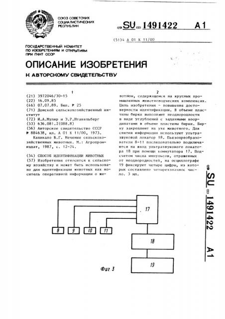 Способ идентификации животных (патент 1491422)