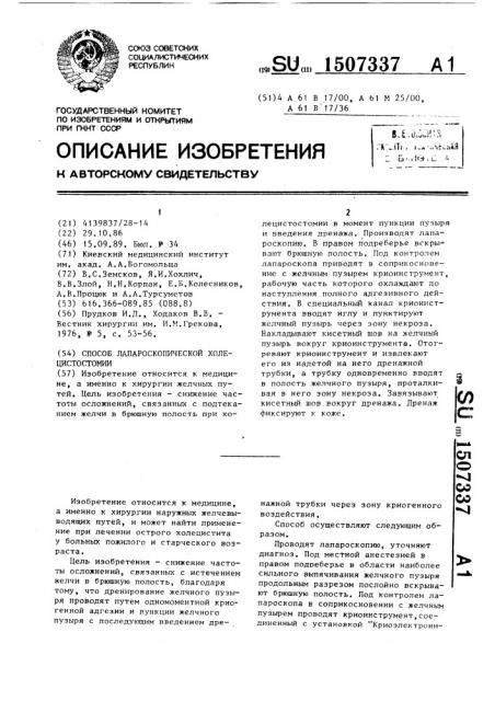 Способ лапароскопической холецистостомии (патент 1507337)