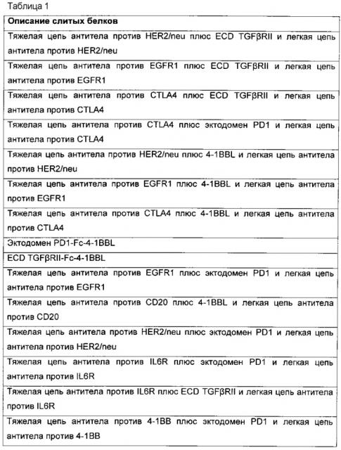 Нацеленные/иммуномодулирующие слитые белки и способы их получения (патент 2636342)