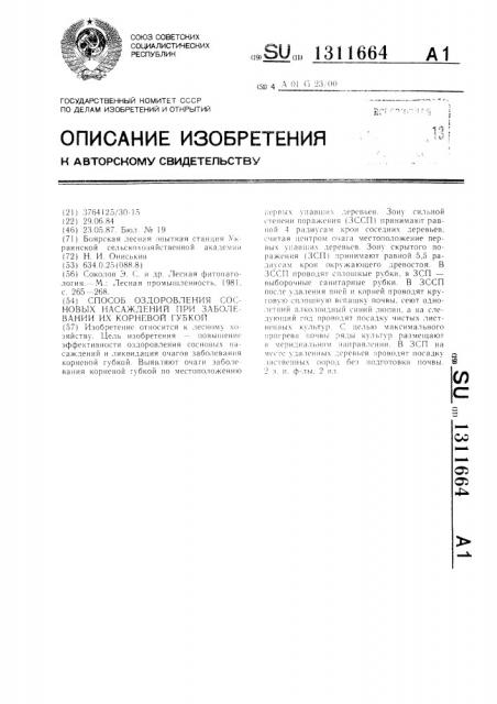 Способ оздоровления сосновых насаждений при заболевании их корневой губкой (патент 1311664)