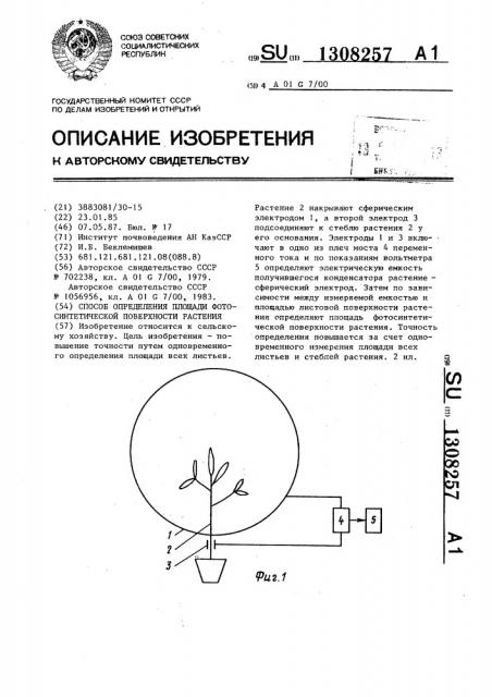 Способ определения площади фотосинтетической поверхности растения (патент 1308257)