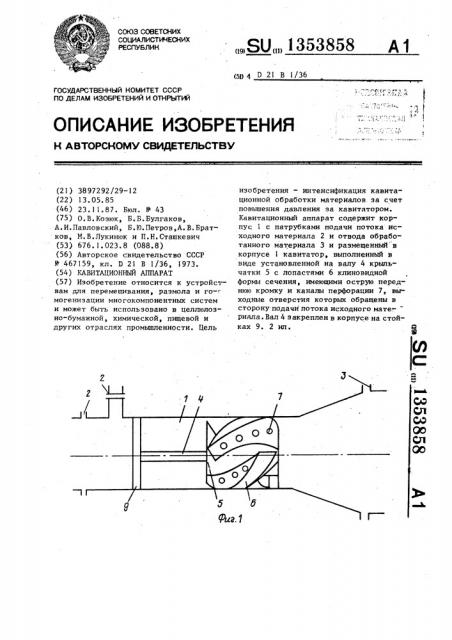 Кавитационный аппарат (патент 1353858)