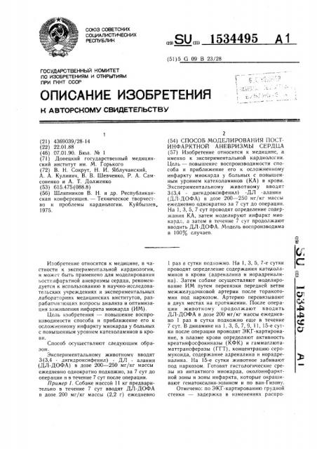 Способ моделирования постинфарктной аневризмы сердца (патент 1534495)