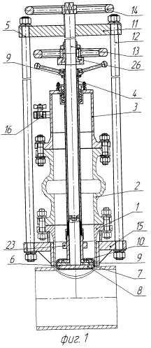 Устройство для перекрытия полости отвода (патент 2529274)