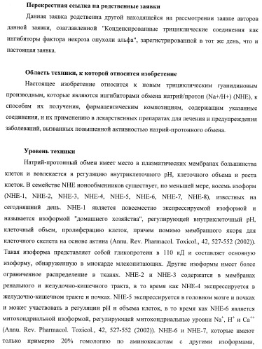 Трициклические гуанидиновые производные как ингибиторы натрий-протонного обмена (патент 2390521)