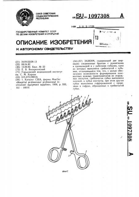 Зажим (патент 1097308)