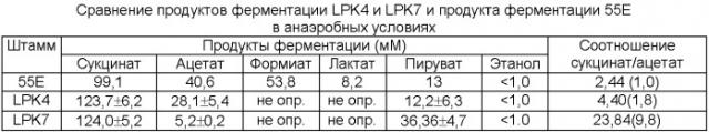 Мутант бактерии рубца рода mannheimia (варианты) - продуцент янтарной кислоты, способ его получения (варианты), способ получения янтарной кислоты (патент 2376369)