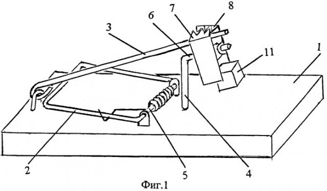 Устройство для ловли грызунов (патент 2413411)