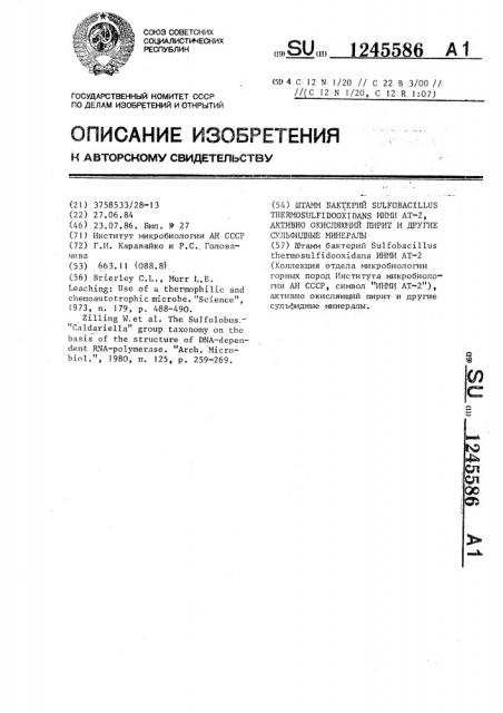 Штамм бактерий @ @ инми ат-2,активно окисляющий пирит и другие сульфидные минералы (патент 1245586)