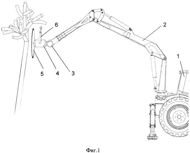 Рабочий орган машины для обрезки крон деревьев (патент 2583685)