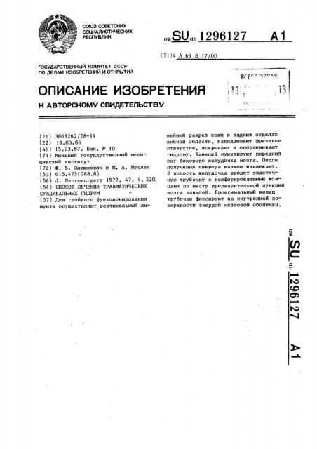 Способ лечения травматических субдуральных гидром (патент 1296127)