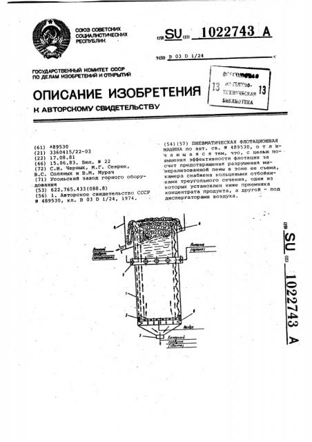 Пневматическая флотационная машина (патент 1022743)