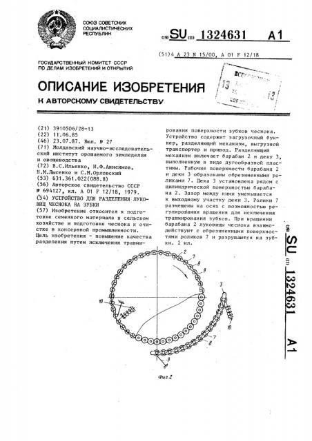 Устройство для разделения луковиц чеснока на зубки (патент 1324631)