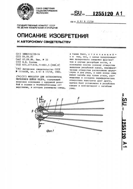 Фиксатор для остеосинтеза переломов шейки бедра (патент 1255120)