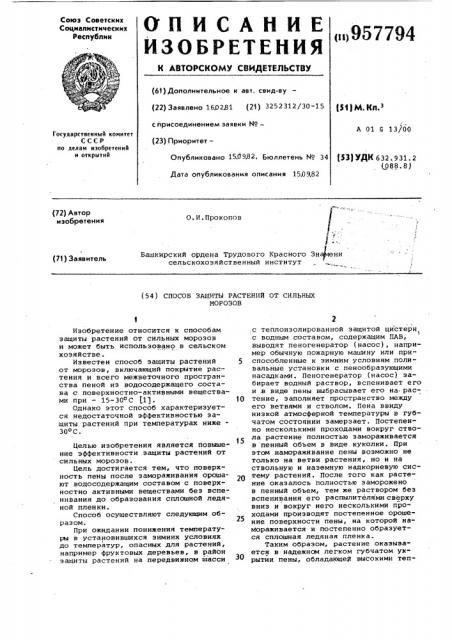 Способ защиты растений от сильных морозов (патент 957794)