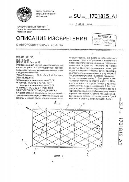 Способ прокладки дренажа (патент 1701815)