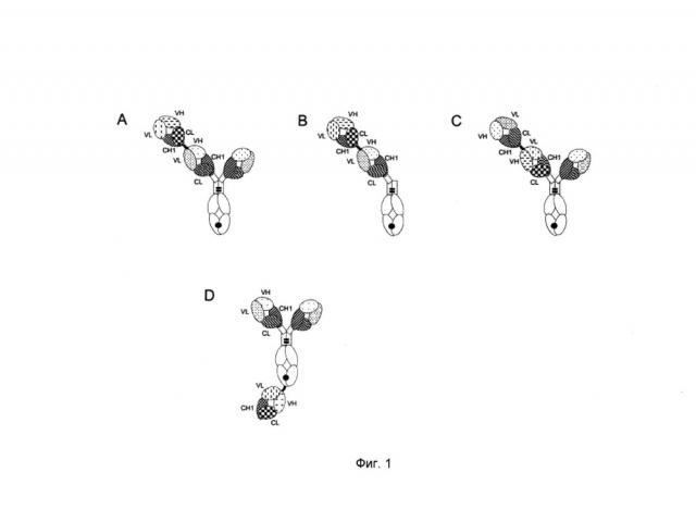 Биспецифические антигенсвязывающие молекулы (патент 2650775)