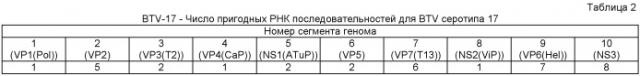 Рекомбинантная вакцина против вируса африканской катаральной лихорадки (патент 2446823)