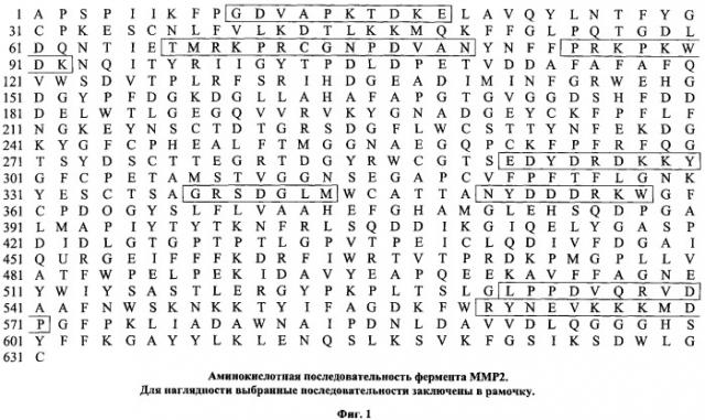 Синтетические пептиды и способ профилактического и лечебного применения при инвазии и метастазировании рака (патент 2346043)