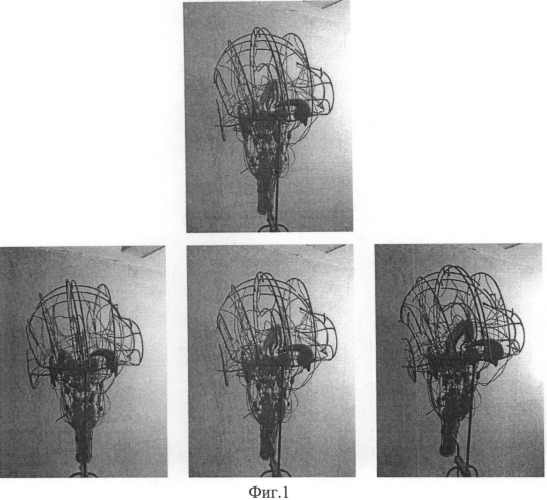 Способ развития когнитивного трехмерного восприятия плоскостных изображений (патент 2484790)
