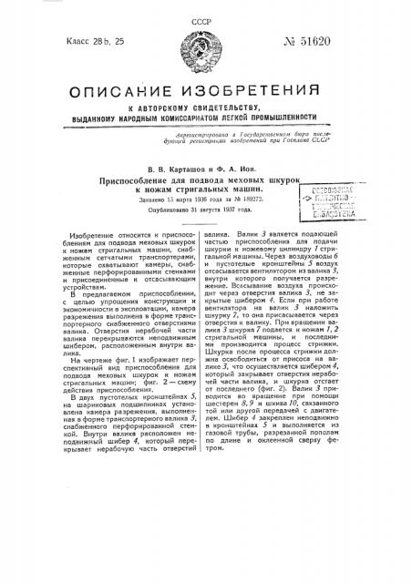 Приспособление для подвода меховых шкурок к ножам стригальных машин (патент 51620)